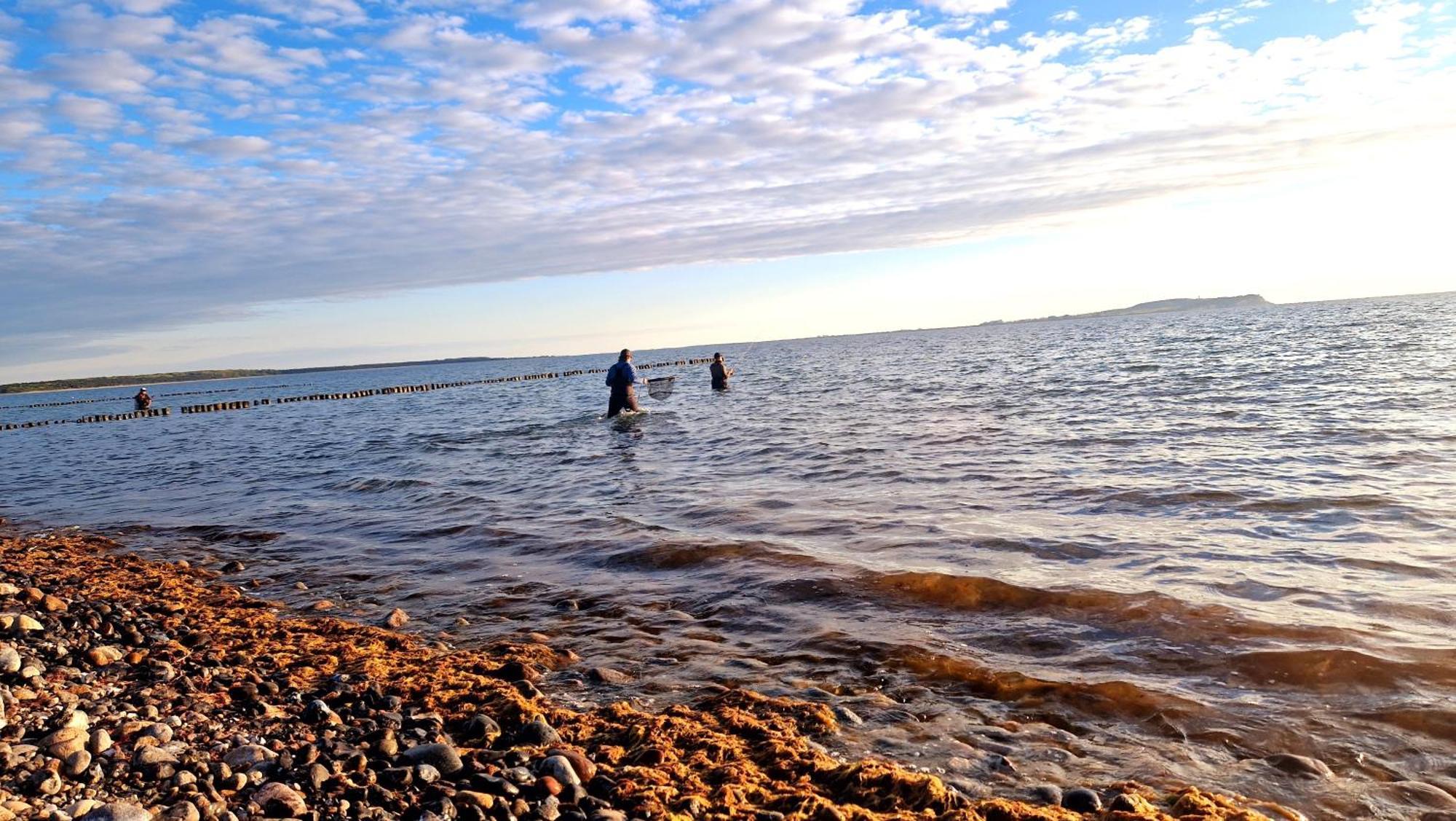 App 8O Grosser Tag Am Meer Mit Wasserblick 德兰斯克 外观 照片